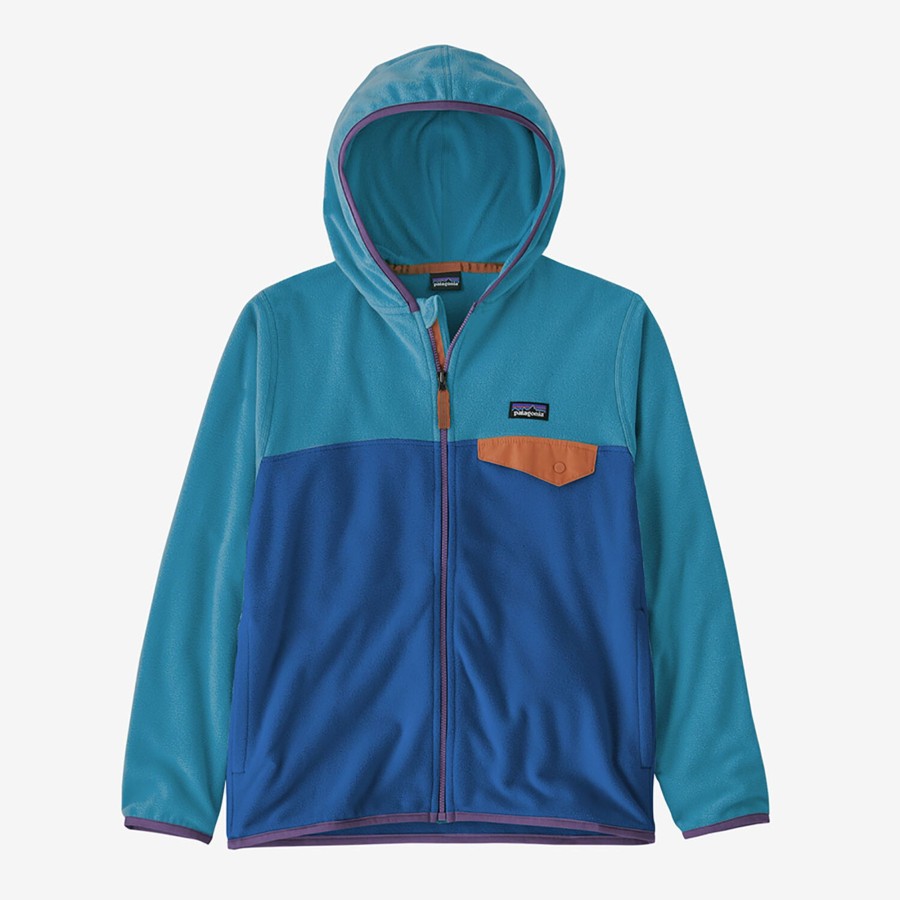 Born Patagonia | Patagonia Kids Micro D Snap-T Jacket